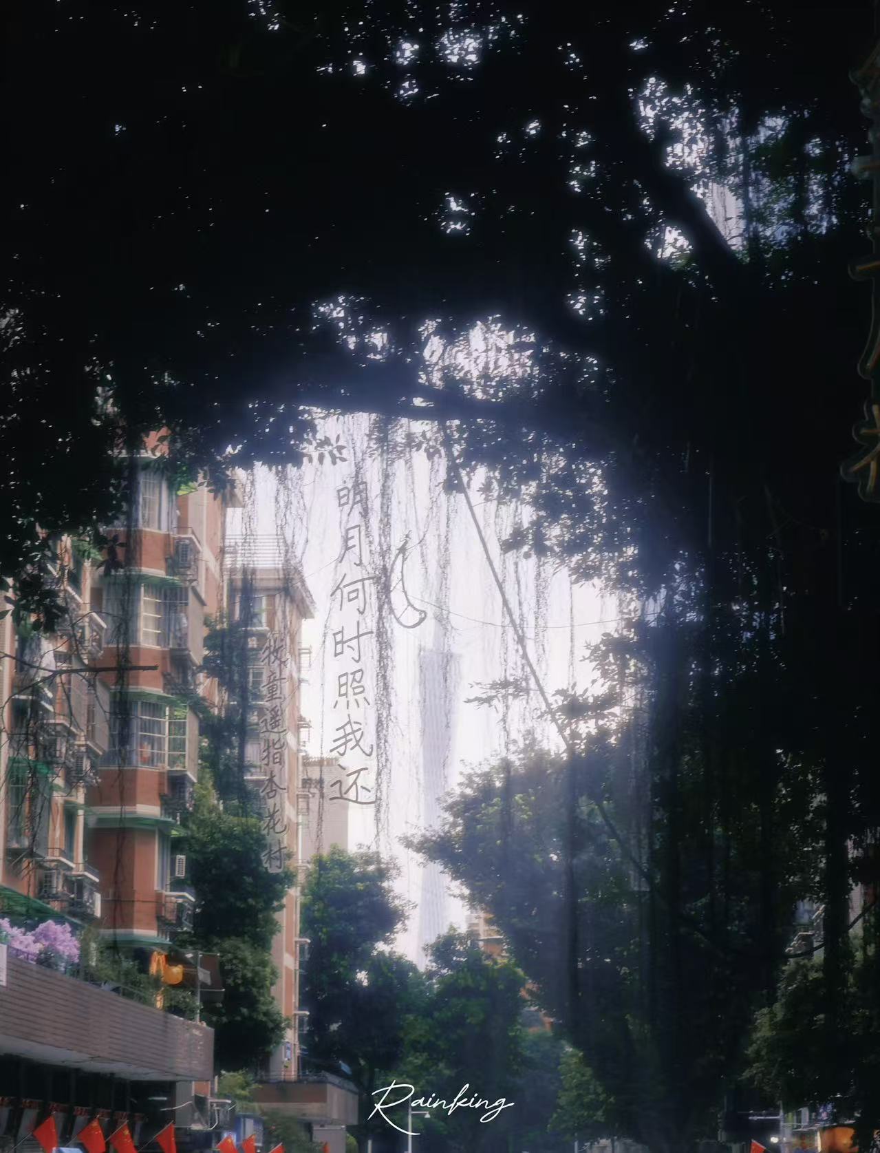 明月何时照我还